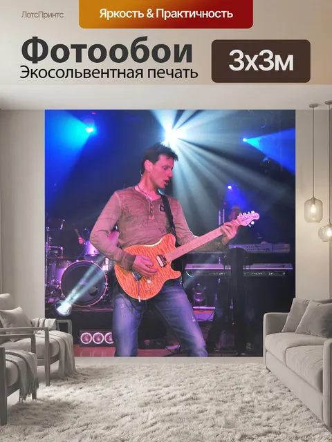 Фотообои В концертном V
