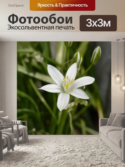 Фотообои Белый подснежник