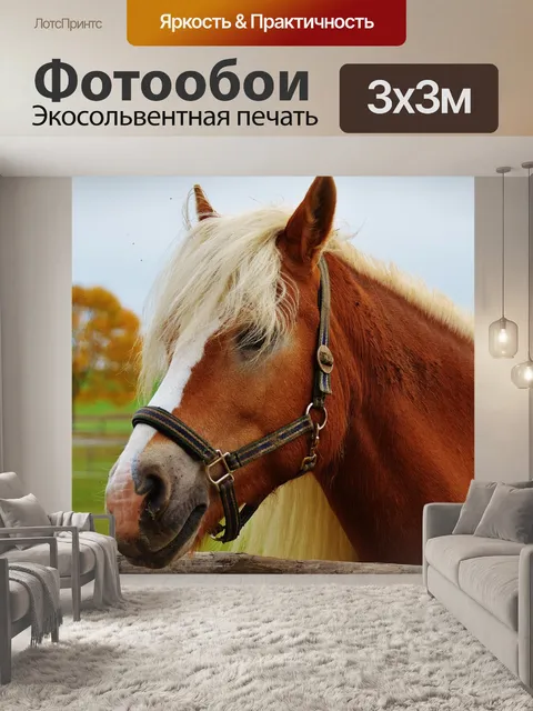 Фотообои Лошадь