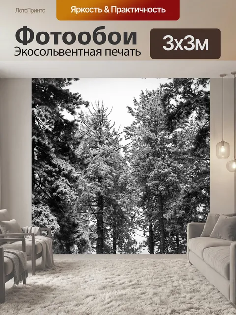 Фотообои Монохромный