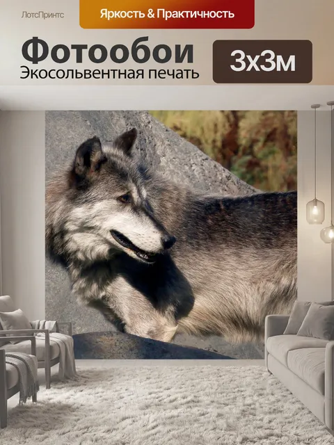 Фотообои Волк