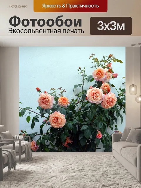 Фотообои Роза
