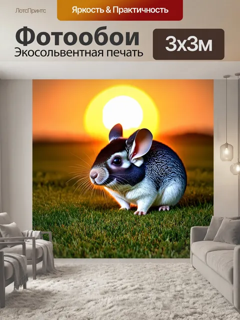 Фотообои на фоне красивого заката шиншилла исследует землю в пышном травяном поле