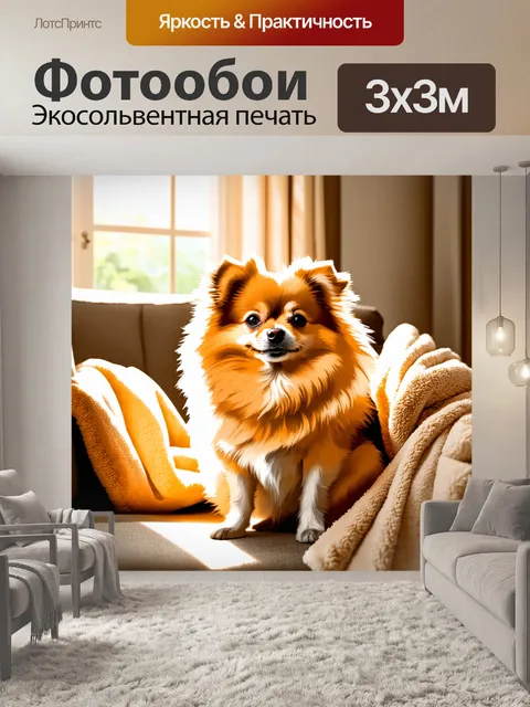 Фотообои изображение померанского шпица на уютном диване