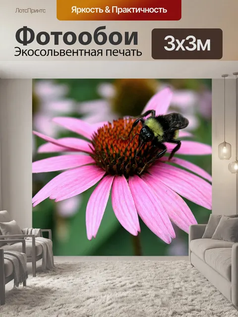 Фотообои Бумская пчела на розовом конусе