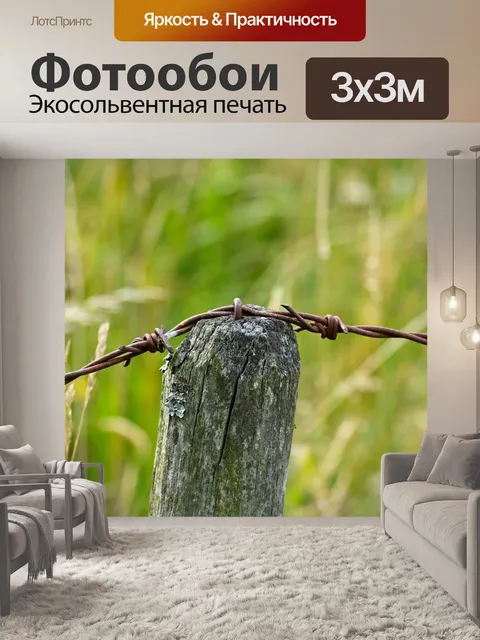 Фотообои Колючая проволока