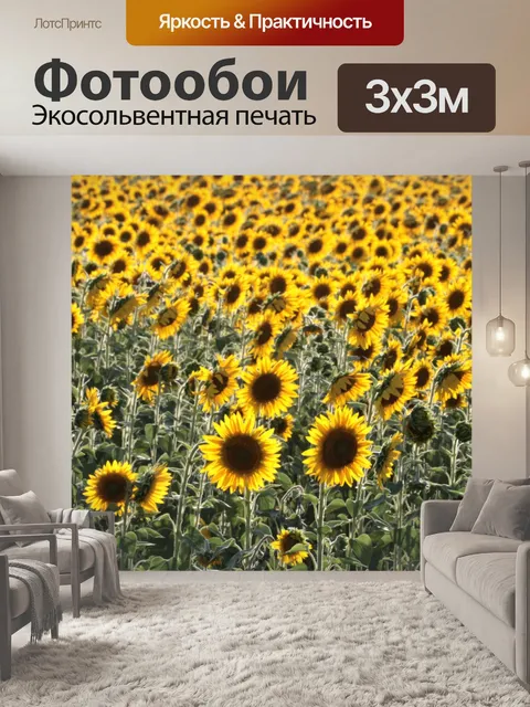 Фотообои Подсолнухи в полевых условиях
