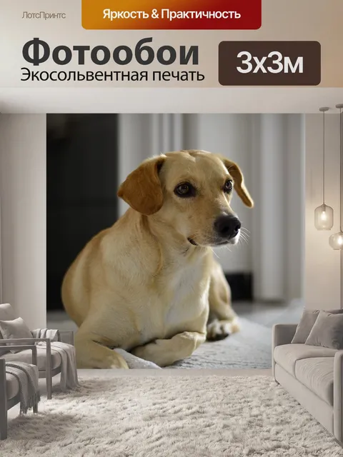 Фотообои Домашний питомец
