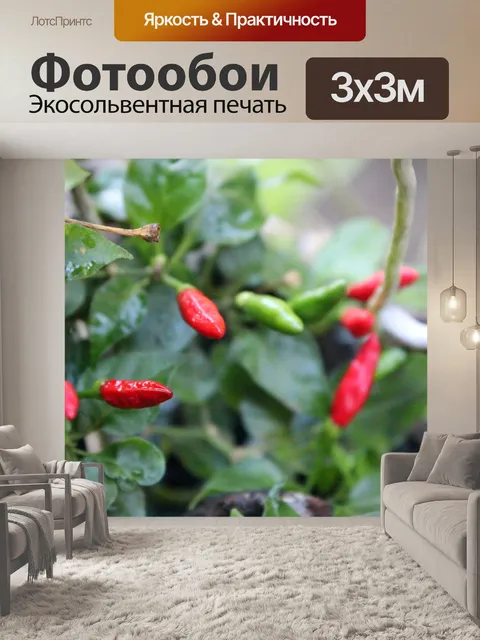 Фотообои красного перца чили