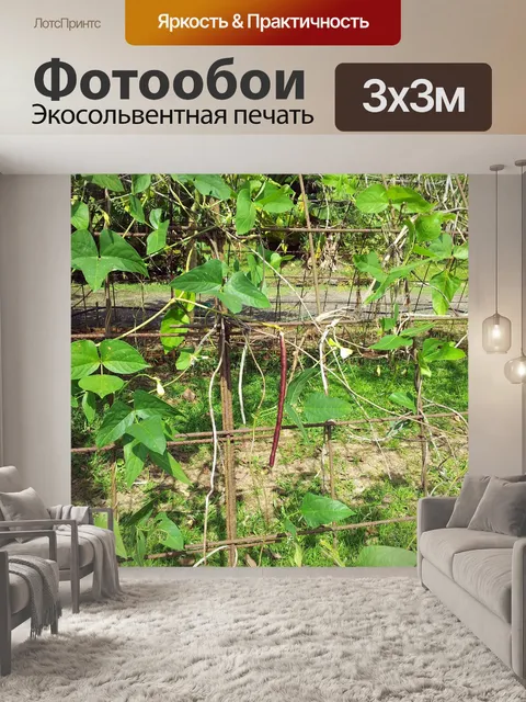 Фотообои длинный боб с листьями