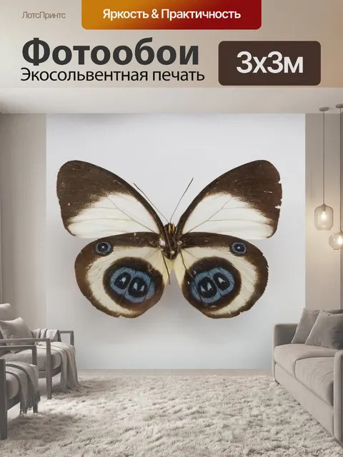 Фотообои Бабочка