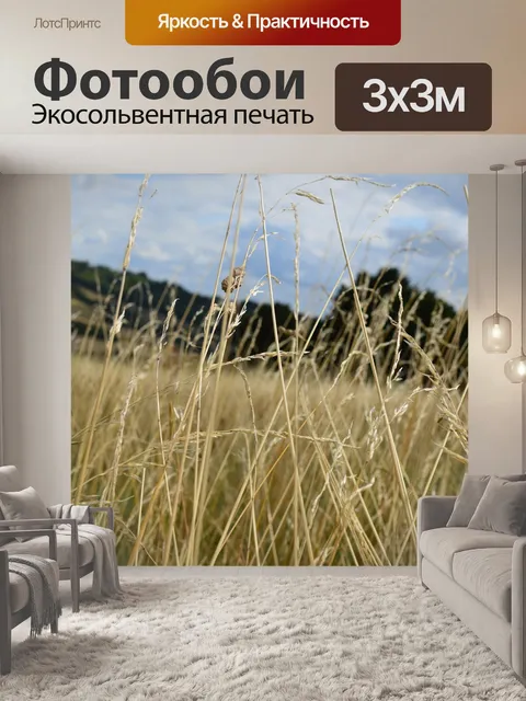 Фотообои Поле