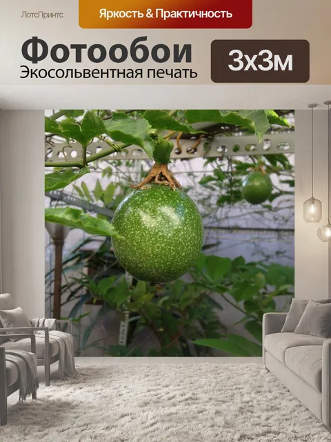 Фотообои Фрукты