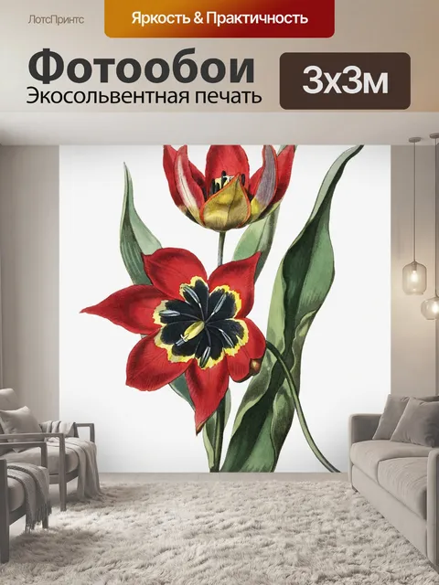 Фотообои Цветок тюльпана нарисовал искусство