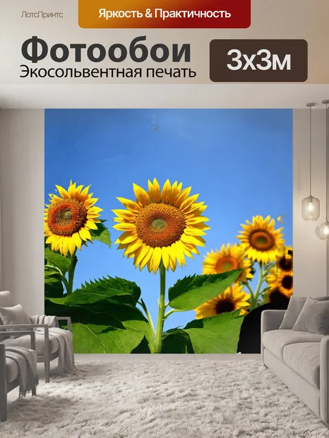 Фотообои подсолнухи, устремляющиеся к яркому небосводу, распускают свои золотистые лепестки, обрамленные густыми…