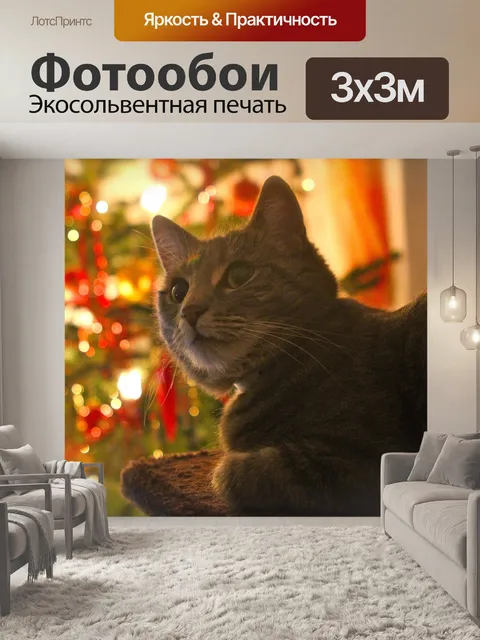 Фотообои Кот
