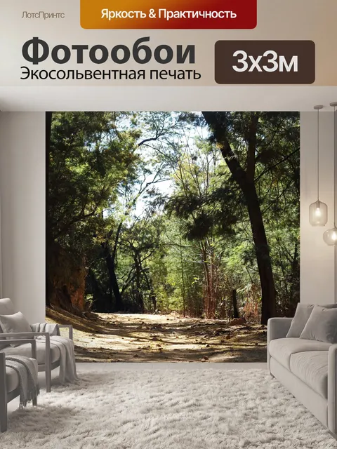 Фотообои пешеходная тропа под кронами деревьев