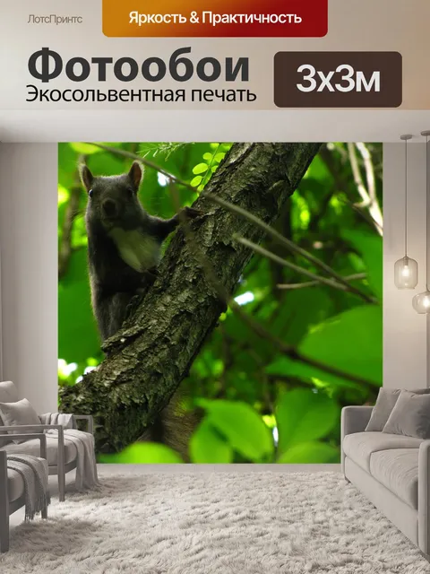 Фотообои Белка