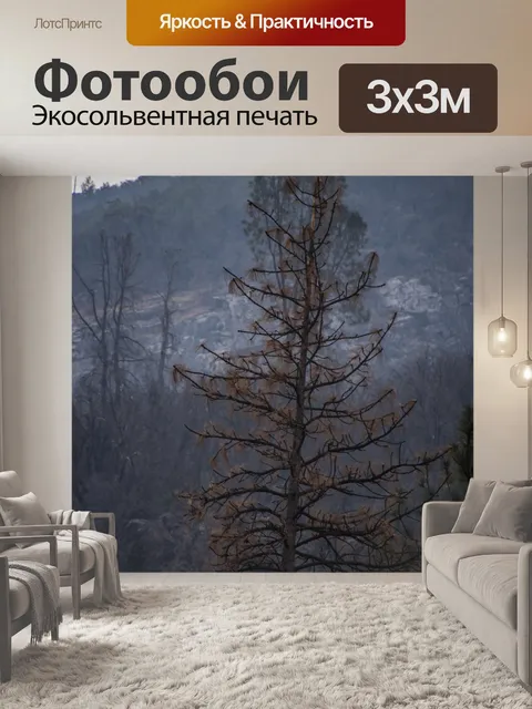 Фотообои Одинокое мертвое дерево в горах