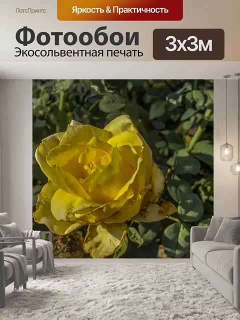Фотообои Желтый цветочный фон