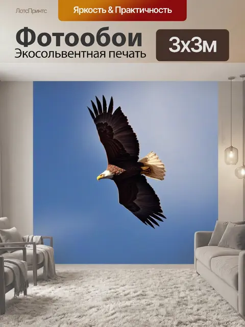 Фотообои высоко в небе