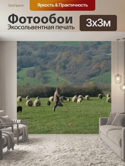 Фотообои Пастух
