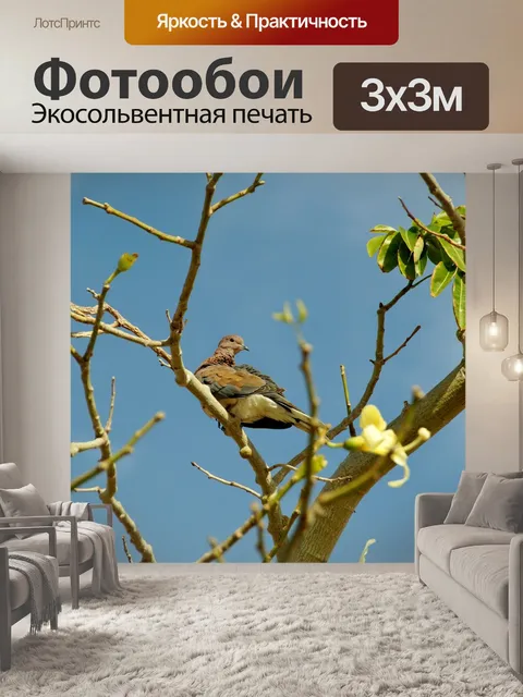 Фотообои Египет