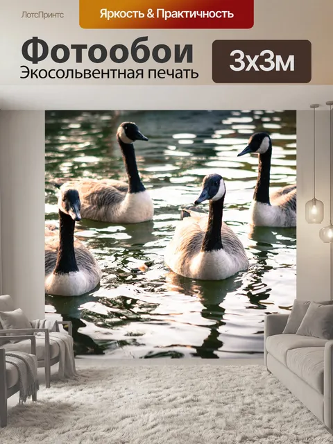Фотообои Утка