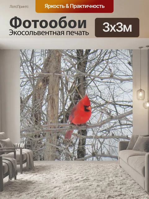 Фотообои Кардинальный