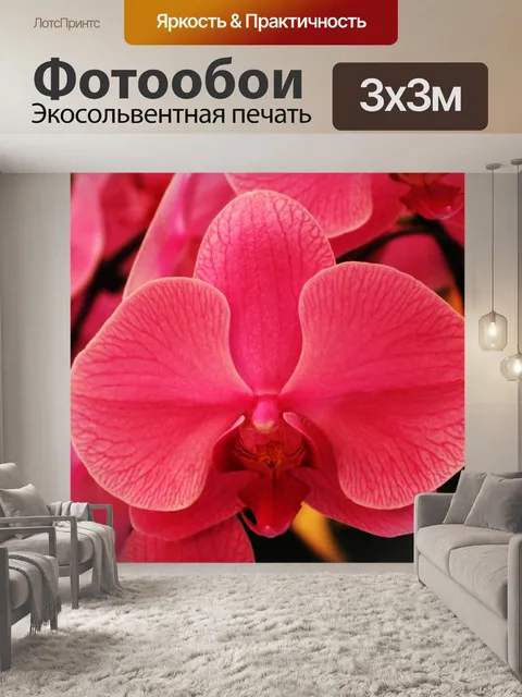 Фотообои розовые орхидеи