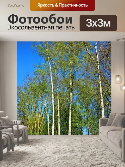 Фотообои Дерево березы