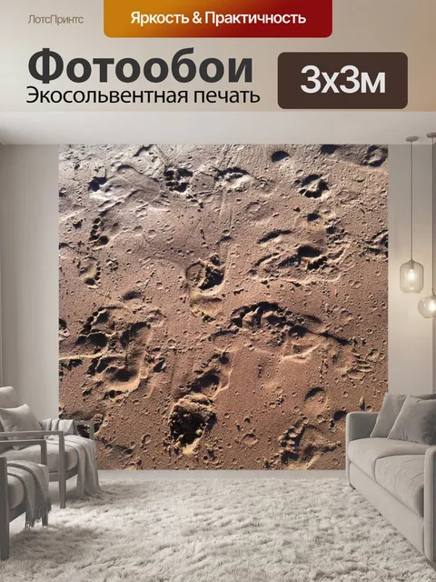 Фотообои Следы