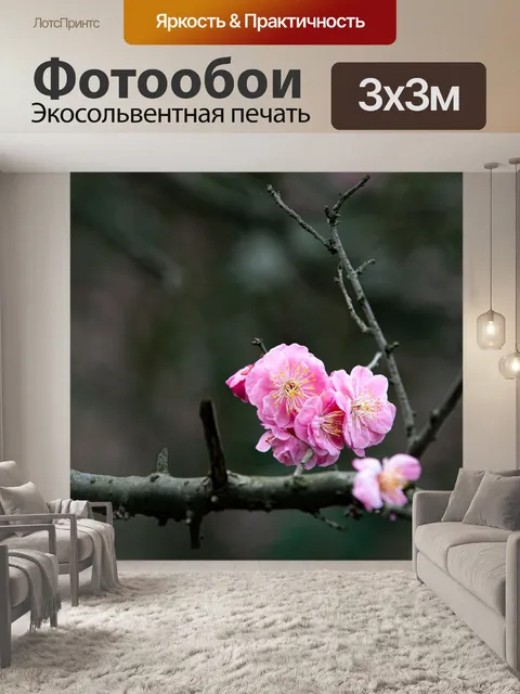 Фотообои Цветы персика