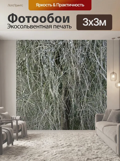 Фотообои Зимнее дерево Филиалы Фон