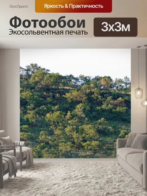 Фотообои Покрытый деревьями склоне холма