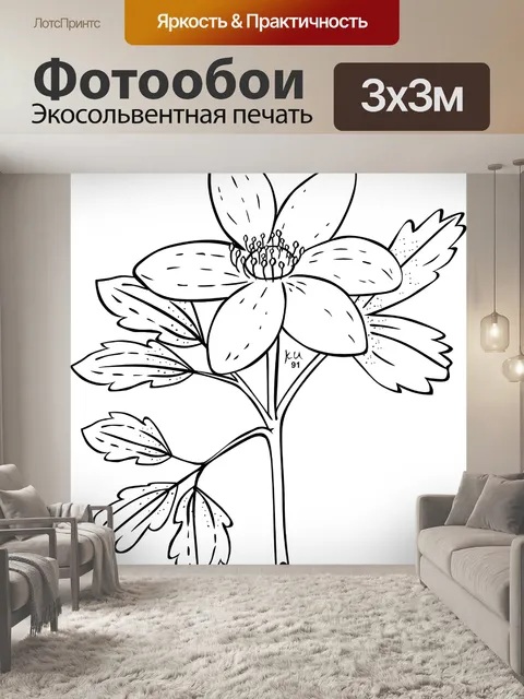 Фотообои Анемон