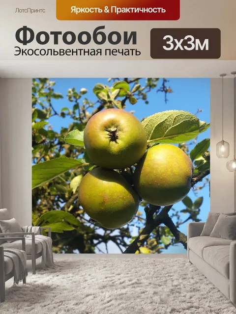 Фотообои Яблоки