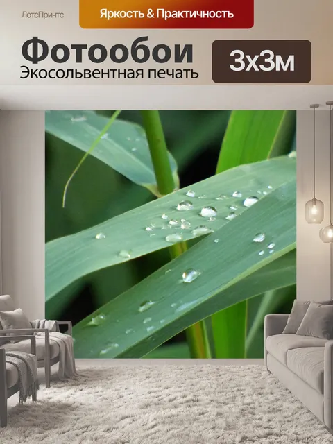 Фотообои Капля воды на листья