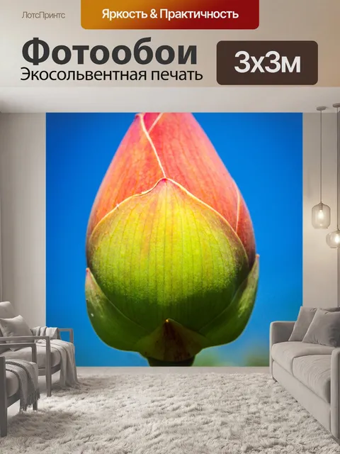 Фотообои Цветок лотоса
