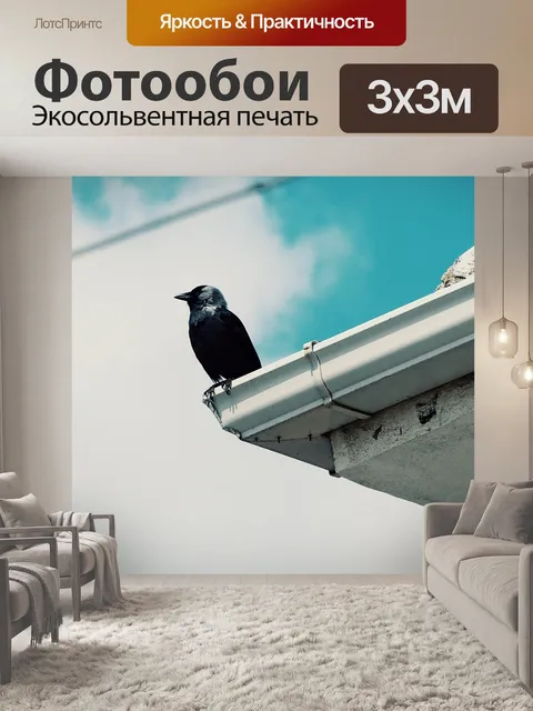 Фотообои Животное