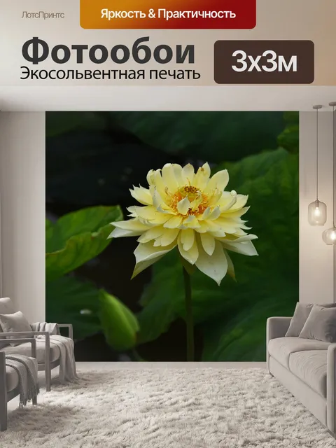 Фотообои Золотой лотос