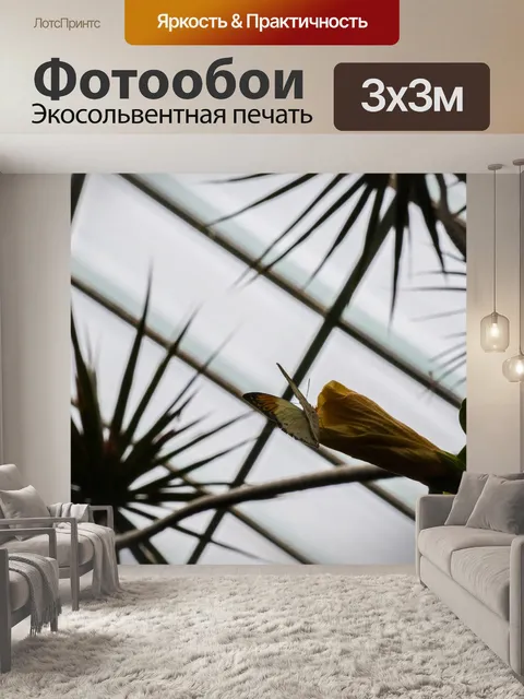 Фотообои Большая оранжевая бабочка