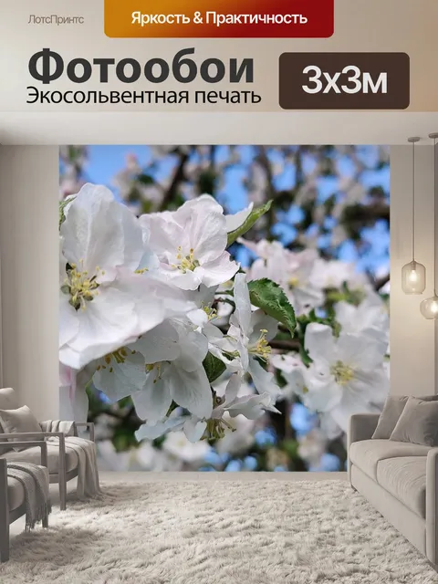 Фотообои Цветы