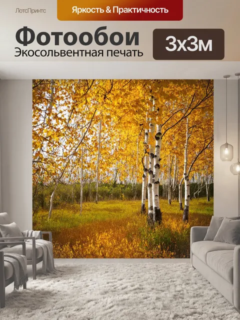 Фотообои русские берёзы с желтыми листьями