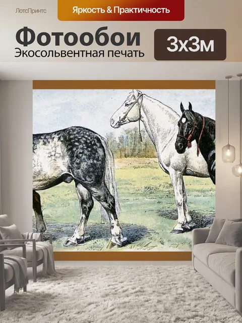 Фотообои Лошади от Адольфа Милло