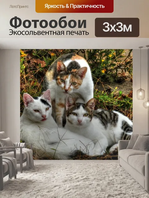 Фотообои Кошки
