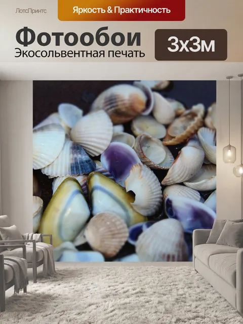 Фотообои Морские раковины
