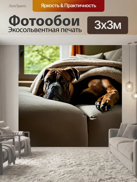 Фотообои большой боксер-кане-корсо мирно спит на диване под теплым пледом