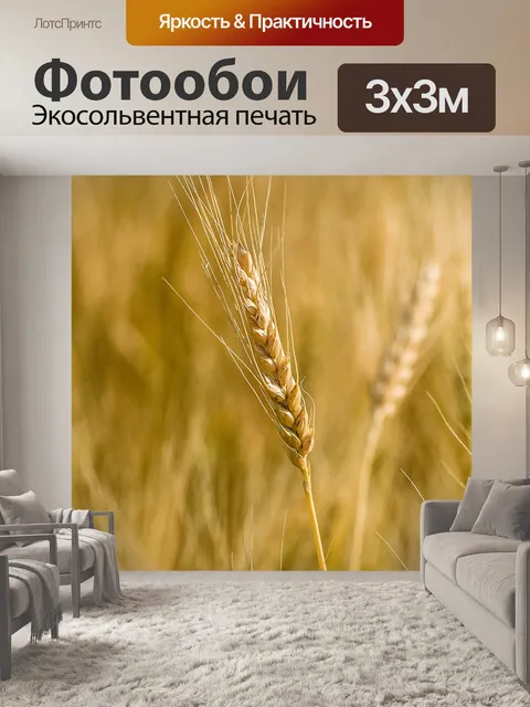 Фотообои Пшеница