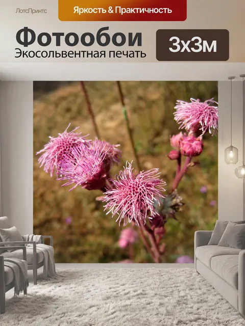 Фотообои помпонами цветы в розовом